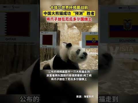 约基奇伤愈,归来获马龙,赞誉,世界杯竞猜,2026世界杯,竞猜技巧,赛事分析,赢奖品