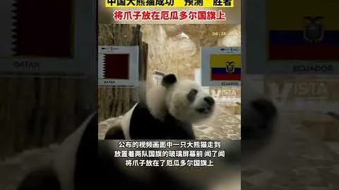 约基奇伤愈归来获马龙赞誉：带伤高效掌控战局
