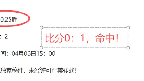 切尔西队长名录